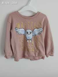 Bluza Harry Potter h&m