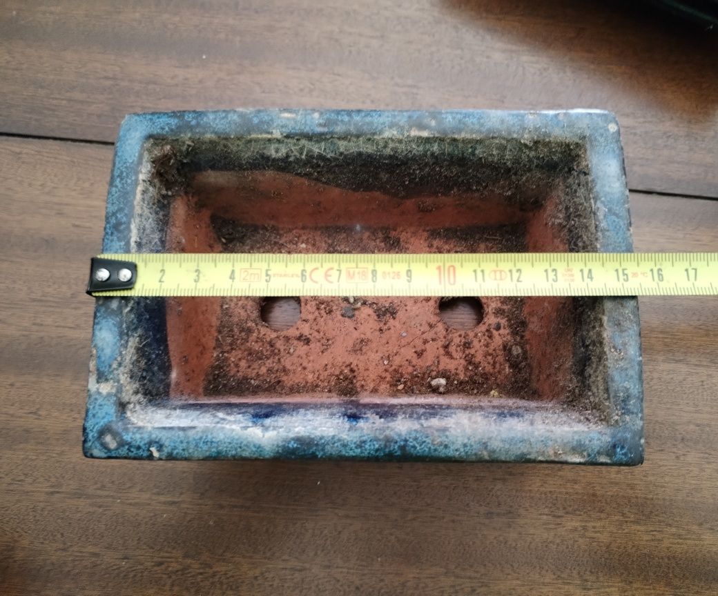 Vaso e prato para Bonsai