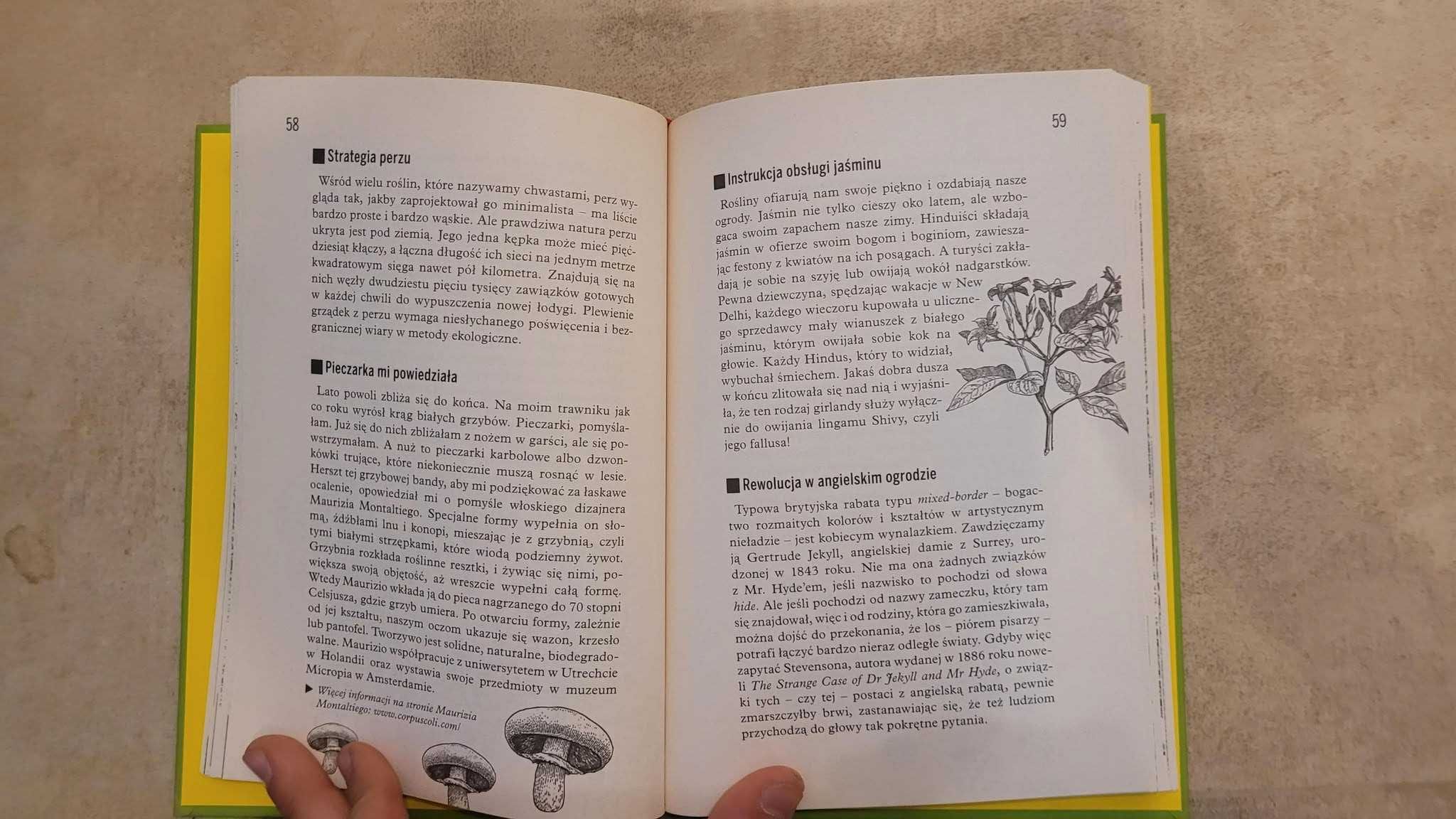 Sekrety ogrodu - książka dla dzieci