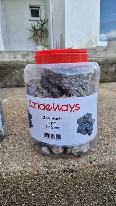 Rocha de aquario  Strideways