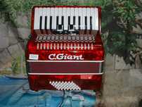 Acordeão Avenda R, .924