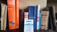 Grande Lote de Dicionários , Gramáticas (e Livros Antigos) de Francês