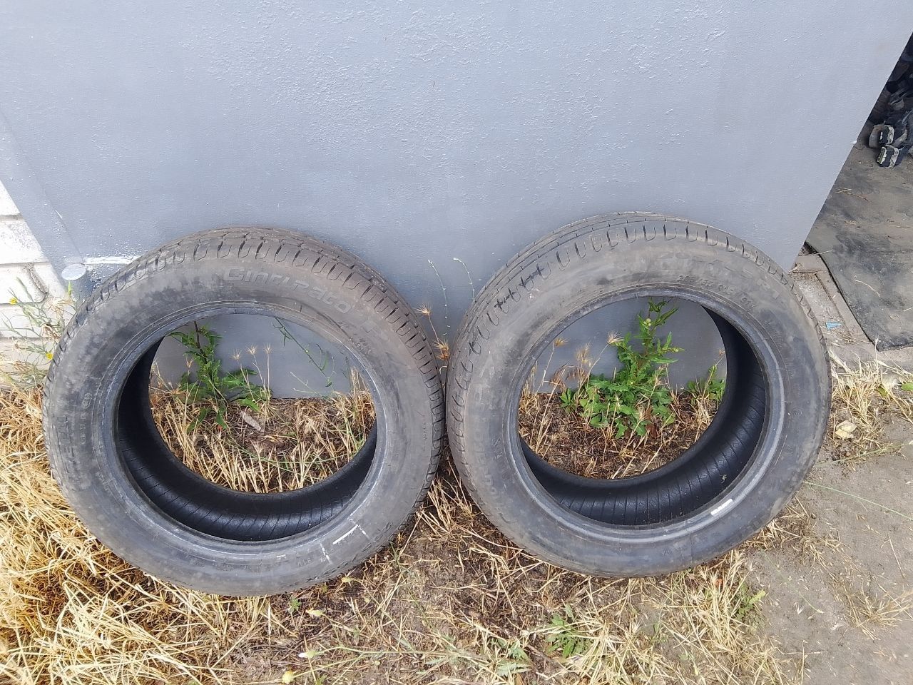 Два летних колеса 195/65 R15