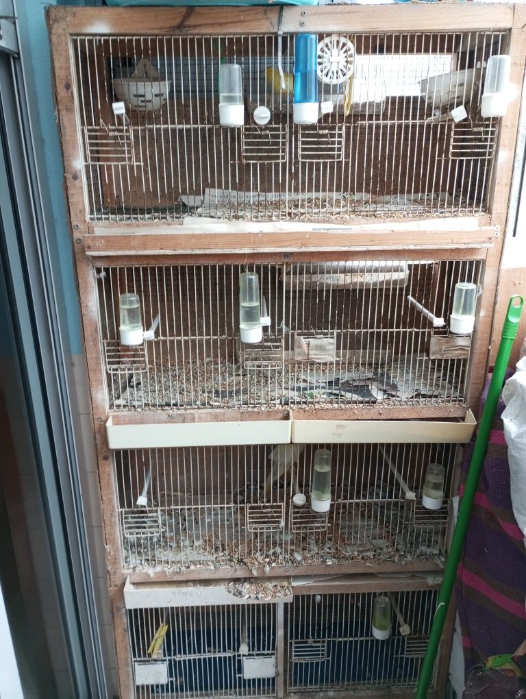 Gaiolas e viveiros