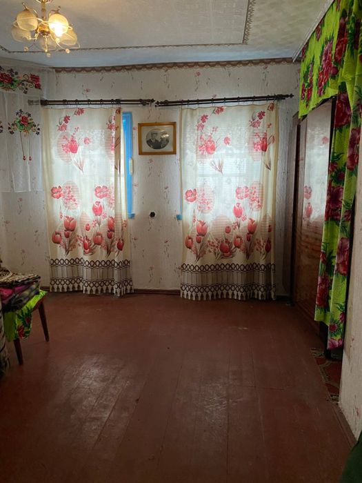 Будинок у селі з господарськими спорудами