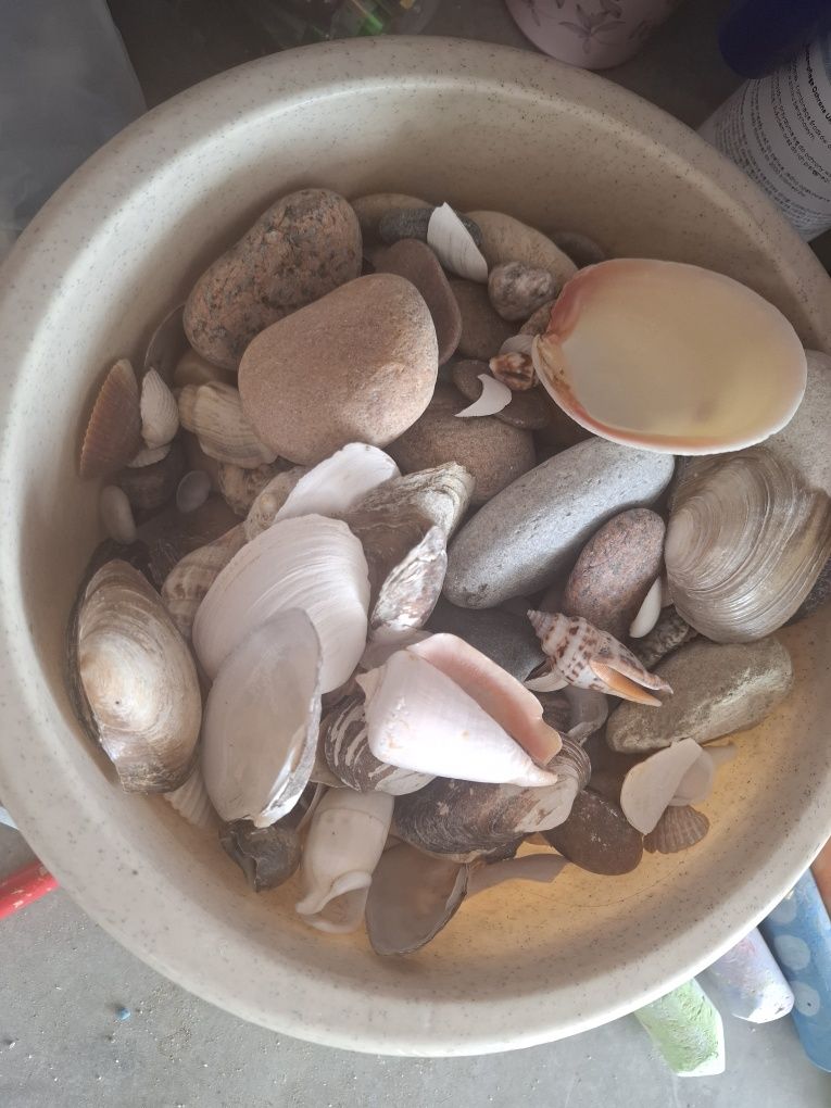 Akwarium 60x30x40 + szafka i żwirek