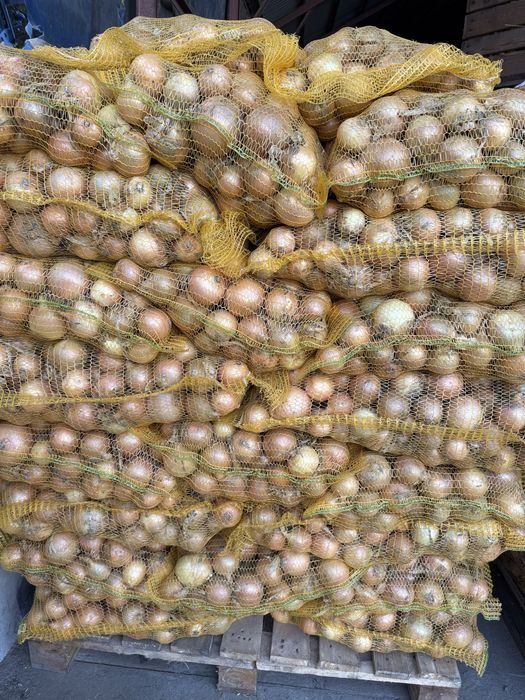 Celula żółta, workowana