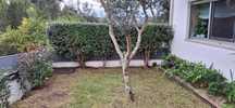 Manutenção de Jardins