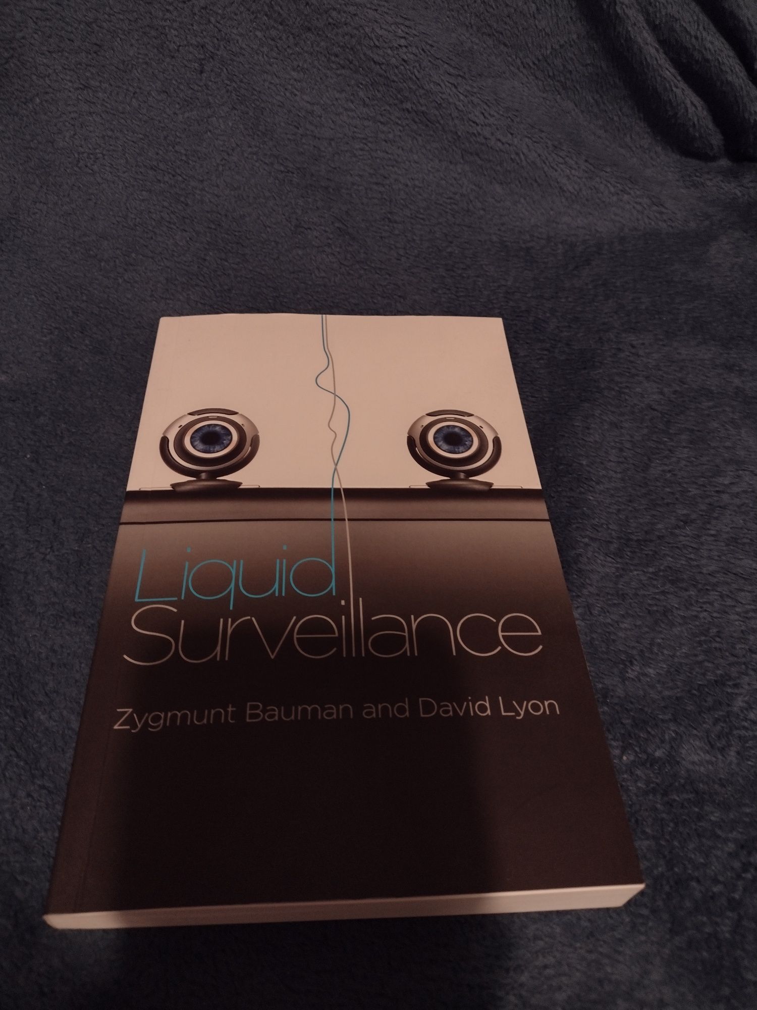 Zygmunt Bauman - Liquid Surveillance