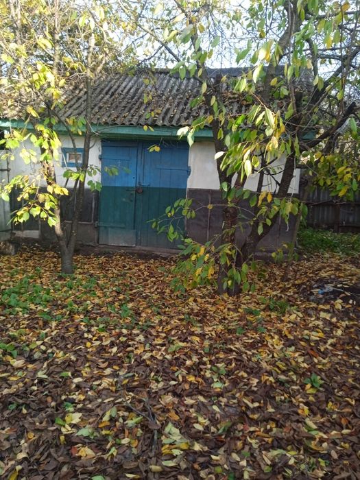 Продається будинок у с.Переяслівка