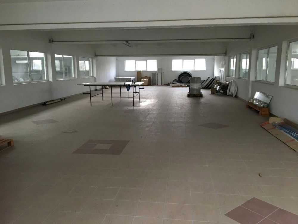 HALA. ul Hedy ps. Szary, Ostrowiec Świętokrzyski, świętokrzyskie