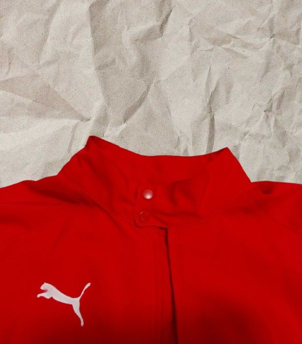 Ветровка Puma на замке