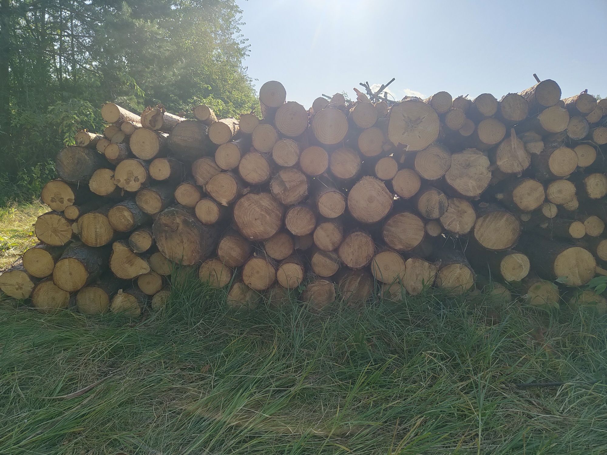 Drewno opałowe sosna, osika
