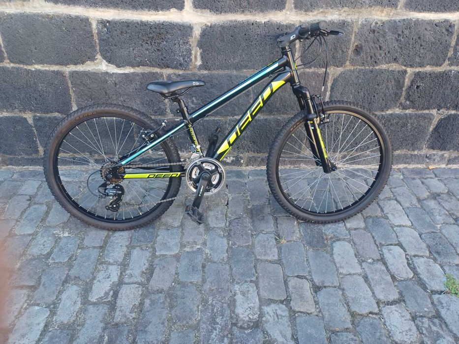 Bicicleta de montanha roda 24