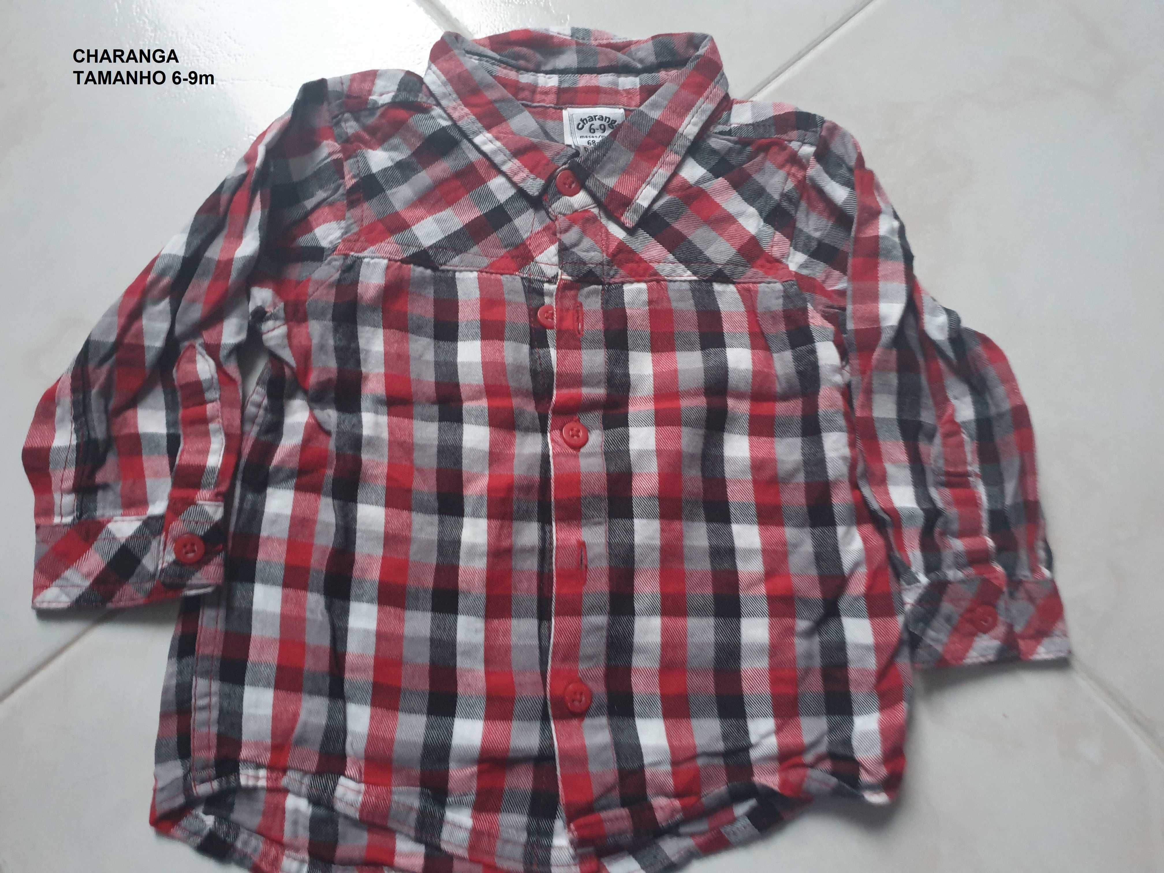 Peças roupa 6m-9meses