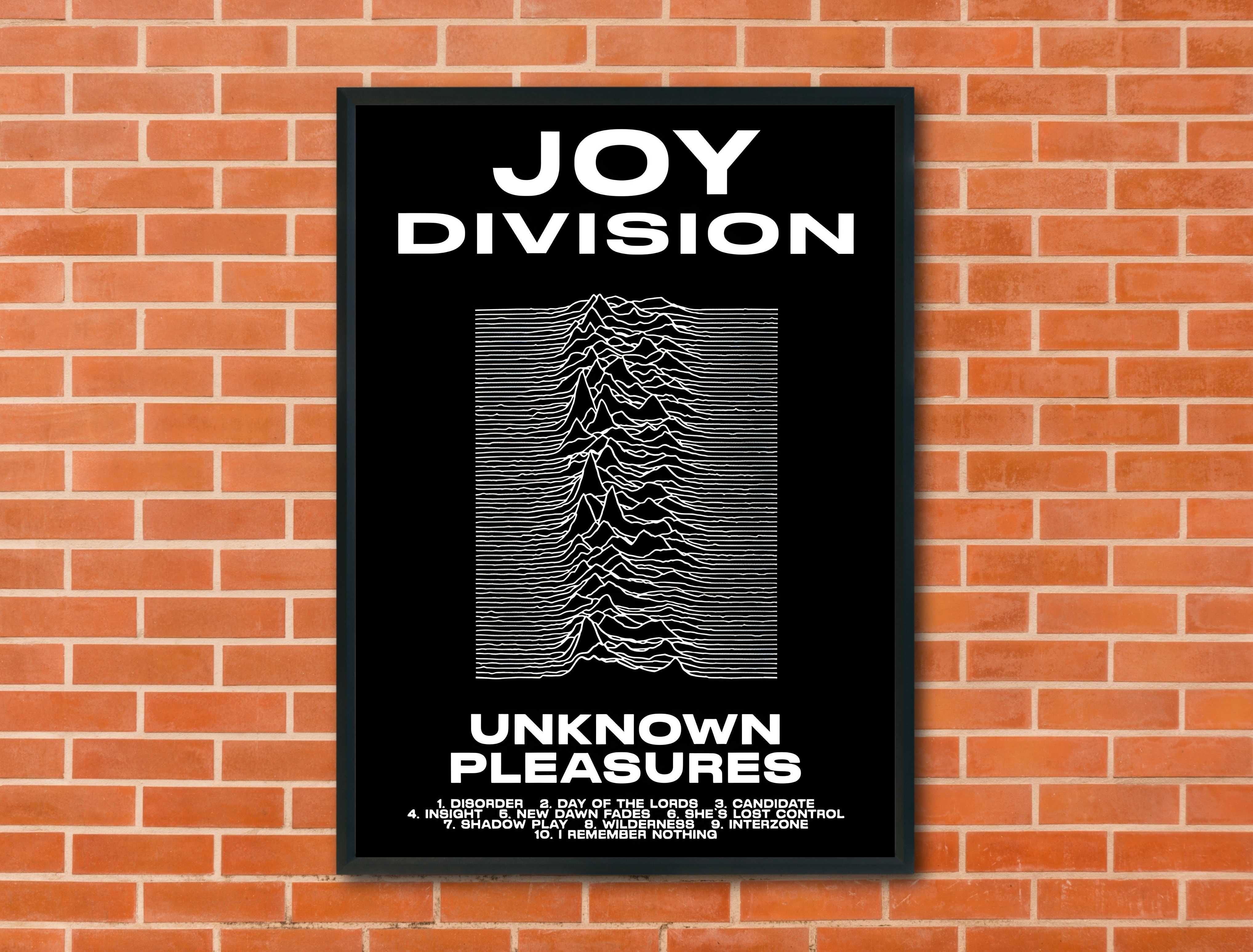 Plakat Joy Division - Unknown Pleasures