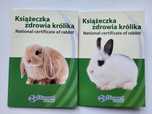 Książeczka zdrowia królika
