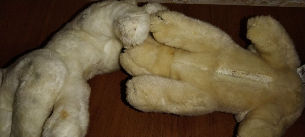 Собачки Anna Clab