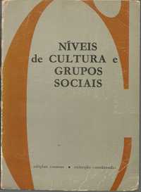 Níveis de cultura e grupos sociais