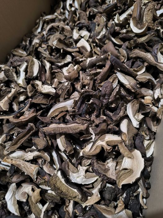 Sprzedam grzyby suszone i marynowane