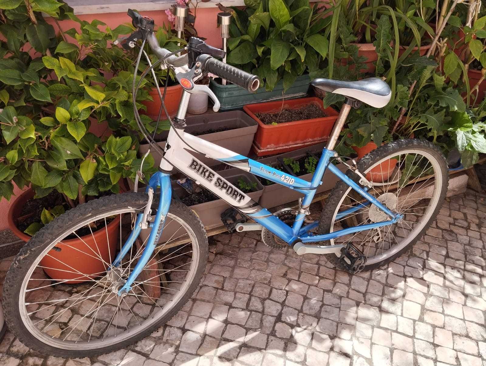 Bicicleta BTT roda 24
