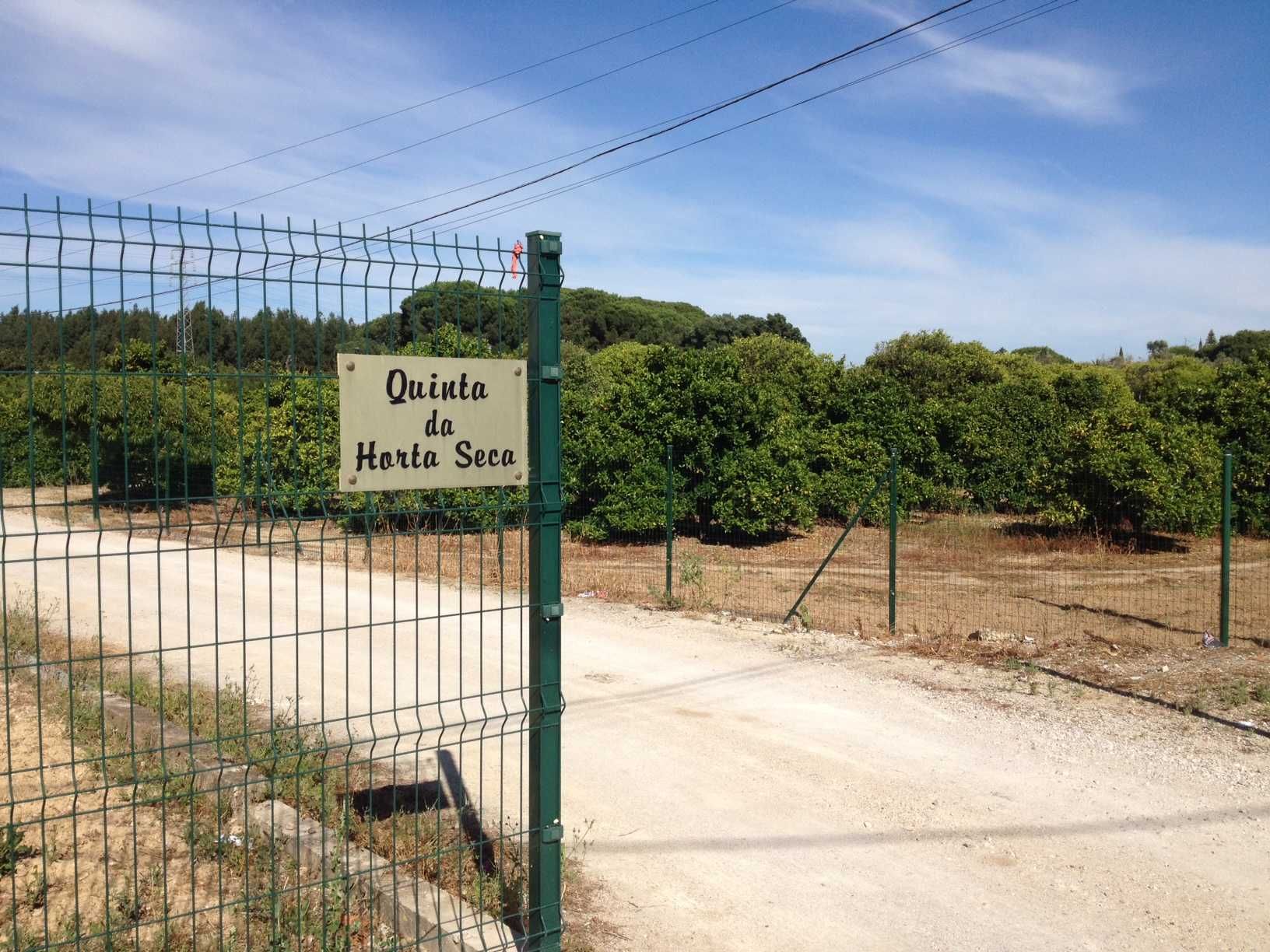 Aluga-se Quinta de produção agrícola - 2 Hectares - em PLENA produção