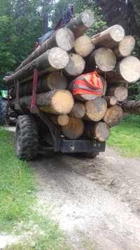 Usługi leśne zrywka ścinka drzewa przyczepa lesna hds transport