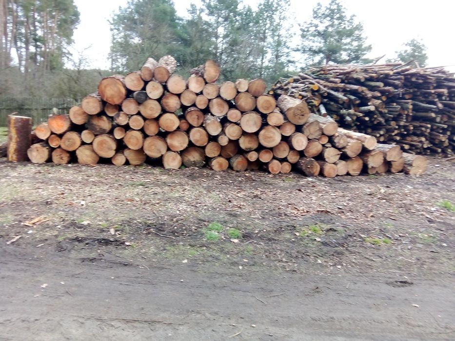 Drewno kominkowo-opałowe