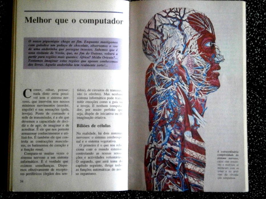 o corpo humano daniel albert-kouraguine