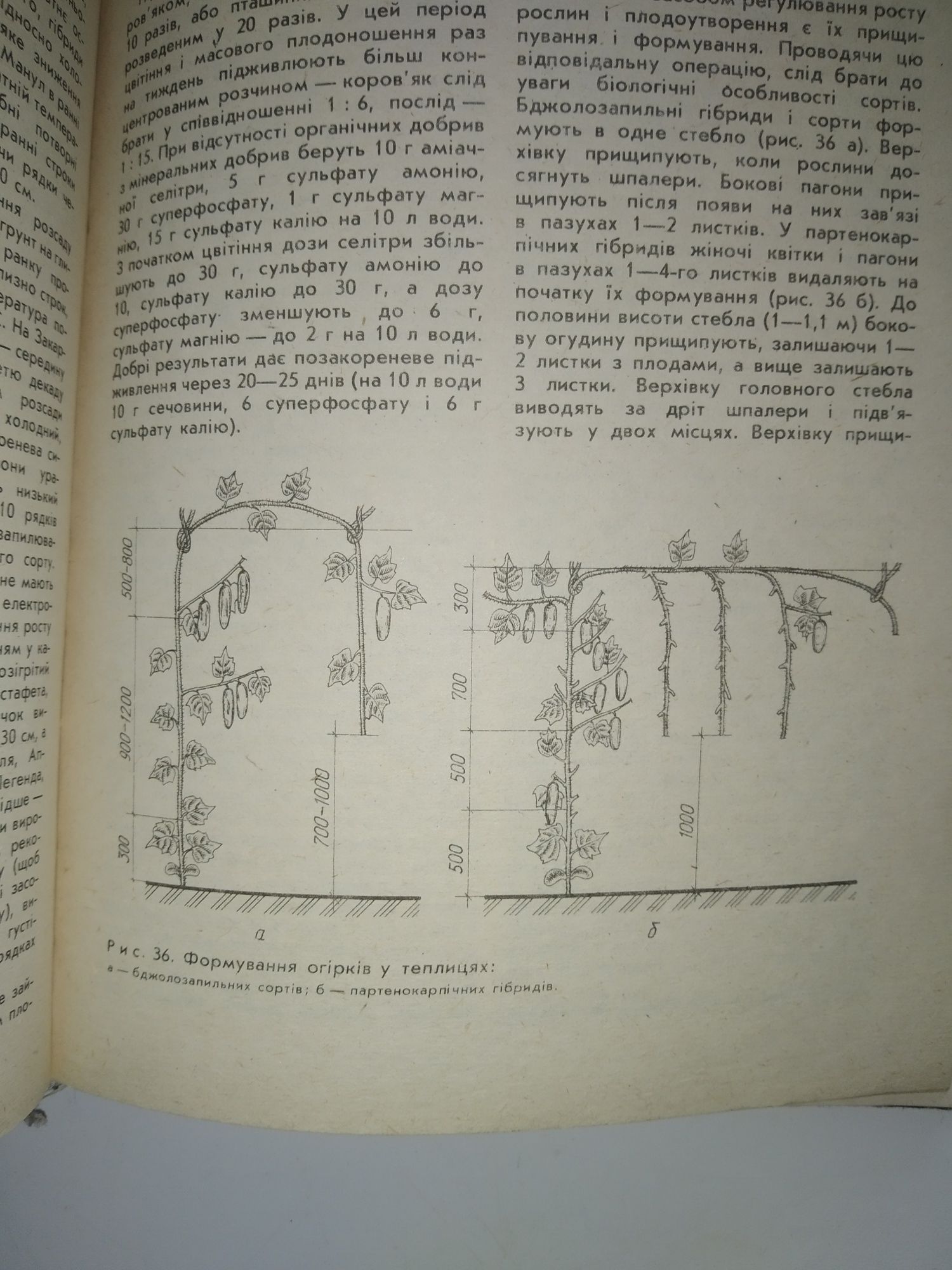 Садово-городні ділянки