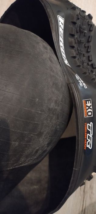 Opona Maxxis Rekon Eco TR