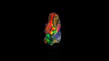 Opal Szlachetny | Bardzo Mocno Opalizujący | 0.6 gr | Minerał Naturaln