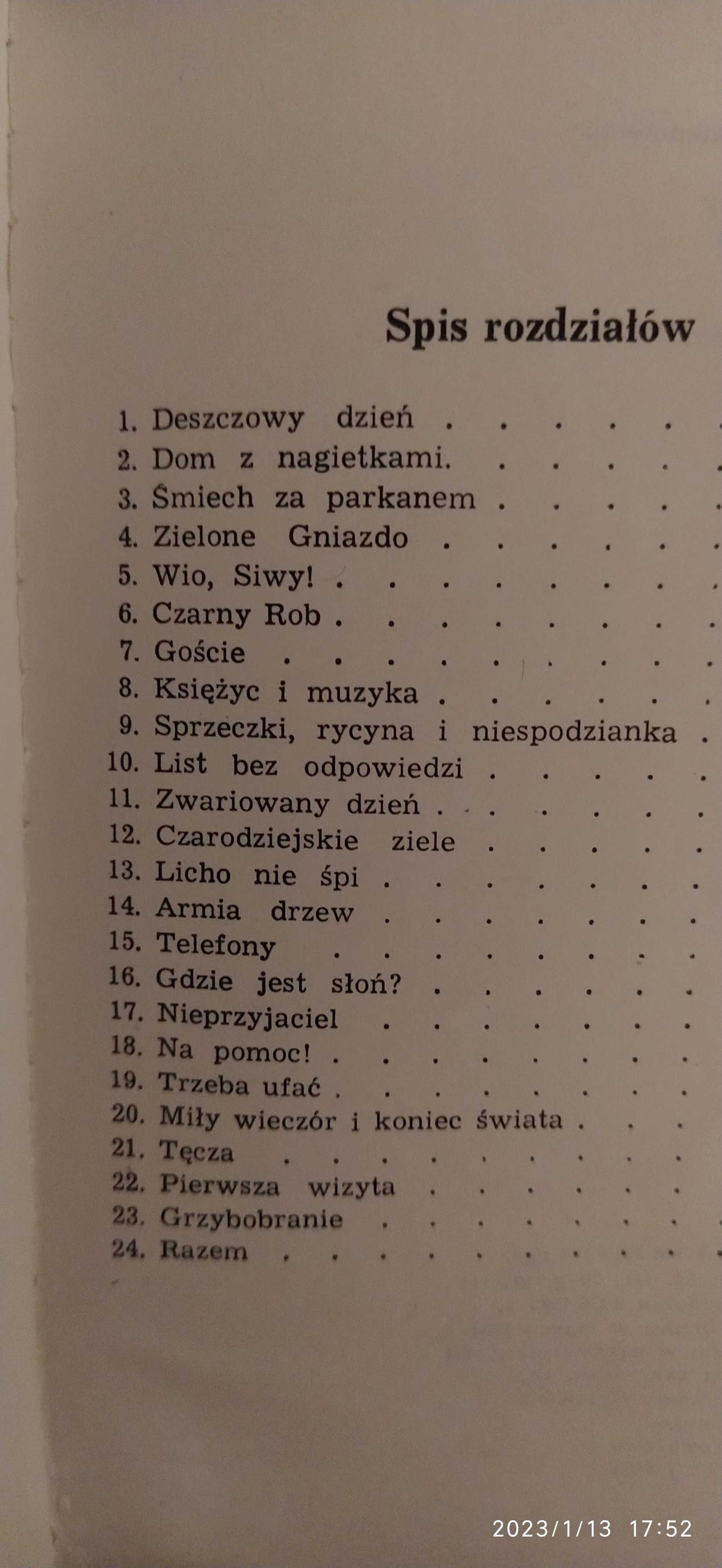 Wakacje w Borkach. Książka przygodowa dla dzieci i młodzieży.