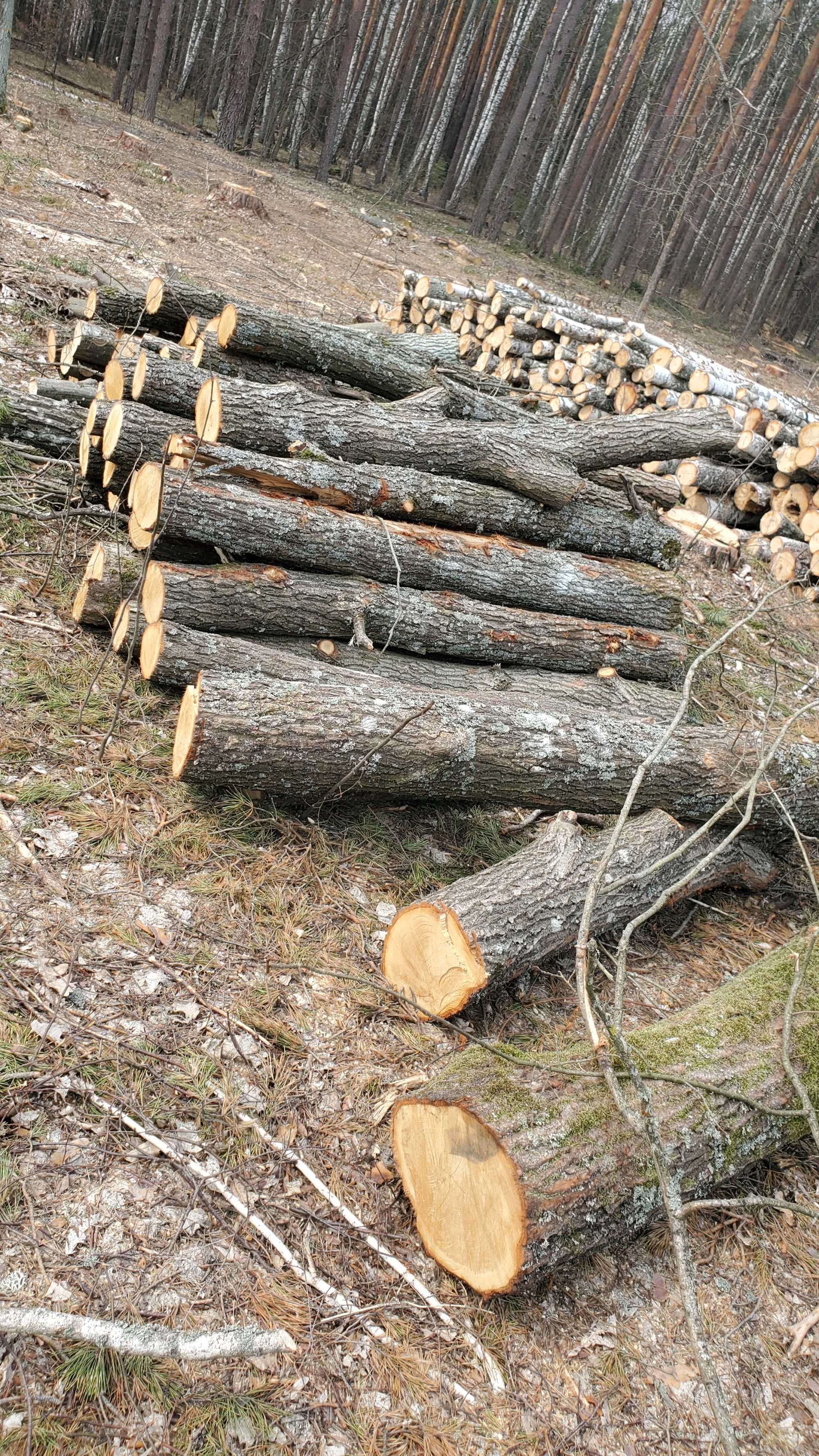 Продам дрова Сосна Дуб Береза Осика з доставкою
