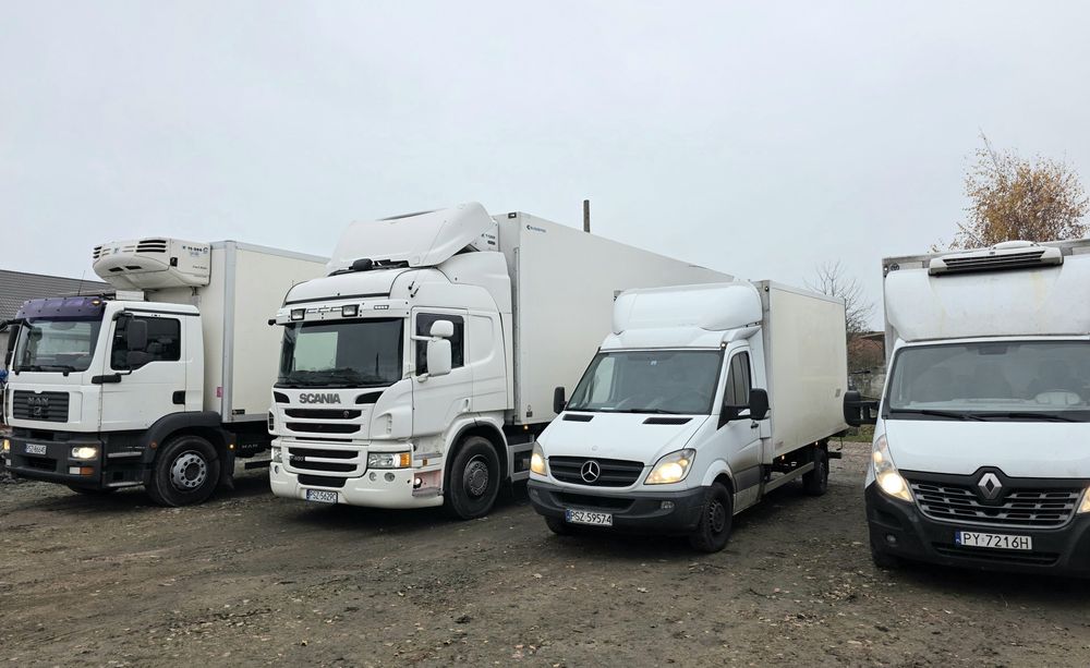 Transport  chłodniczy