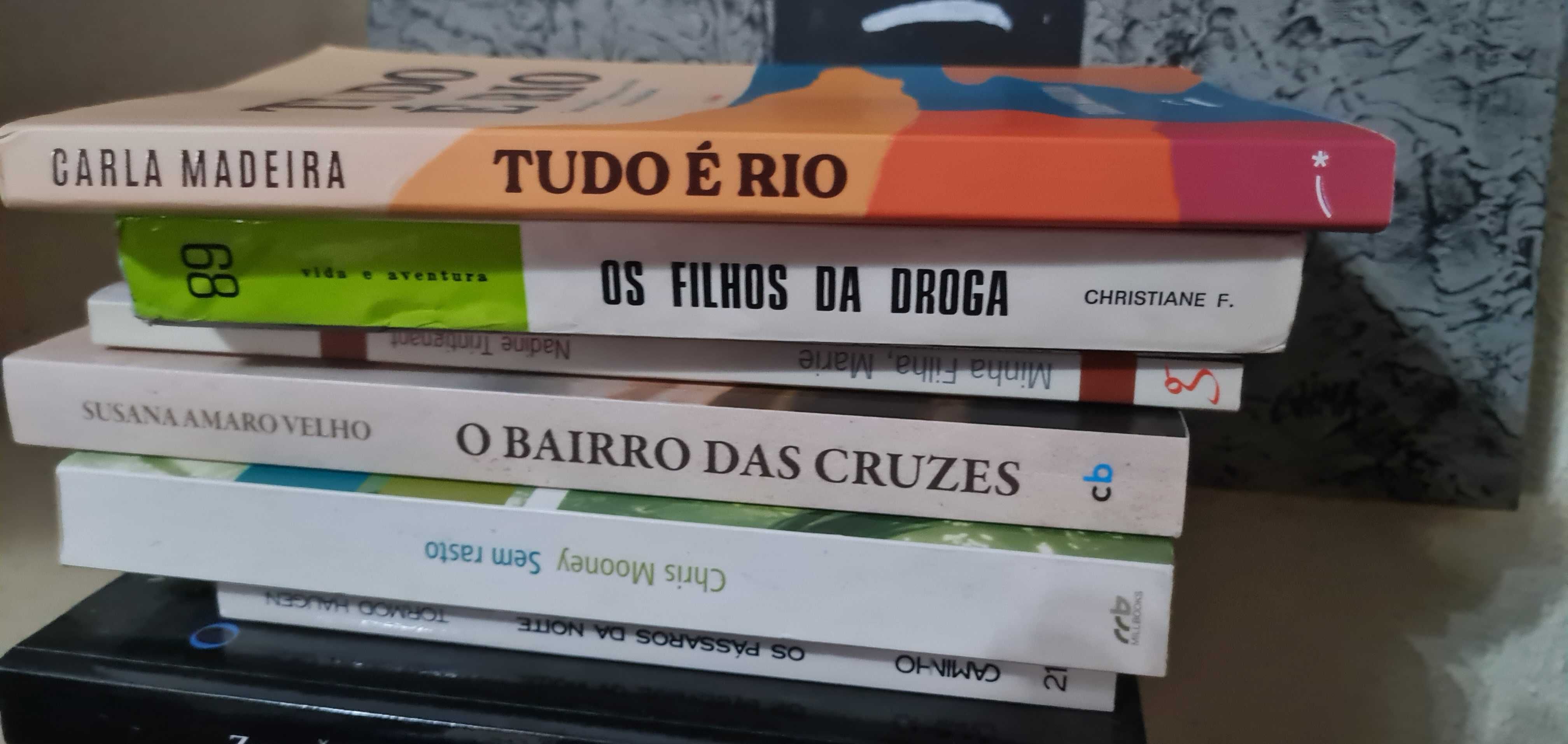 Tudo é Rio de Carla Madeira