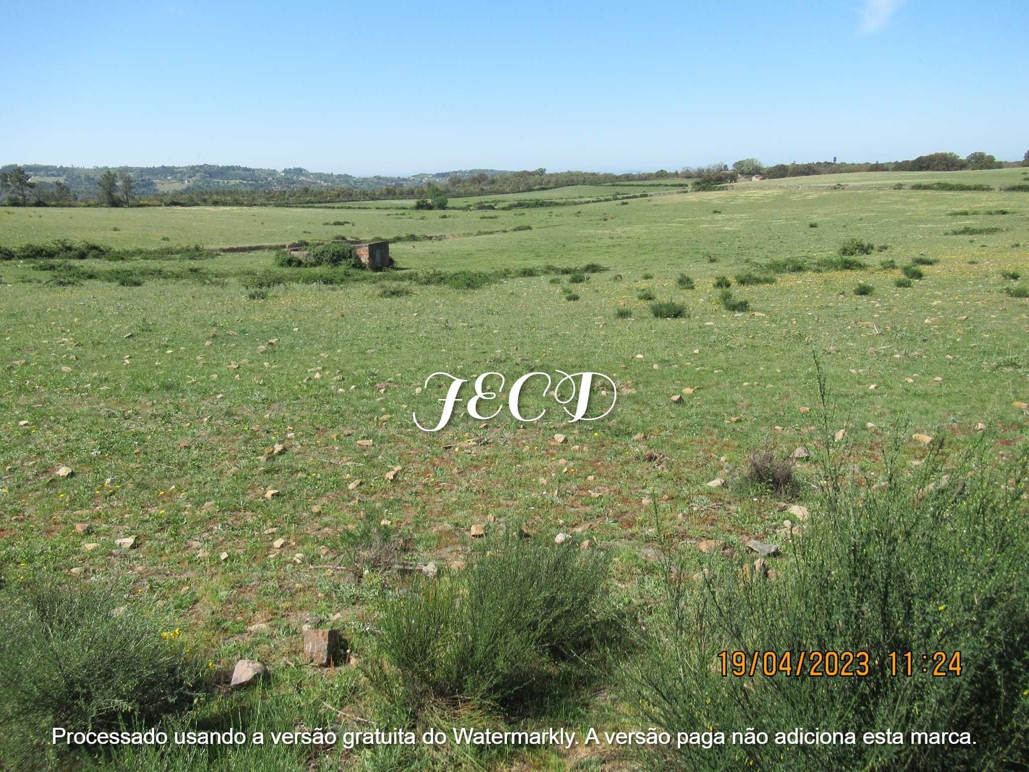 Herdade à venda em São Salvador da Aramenha