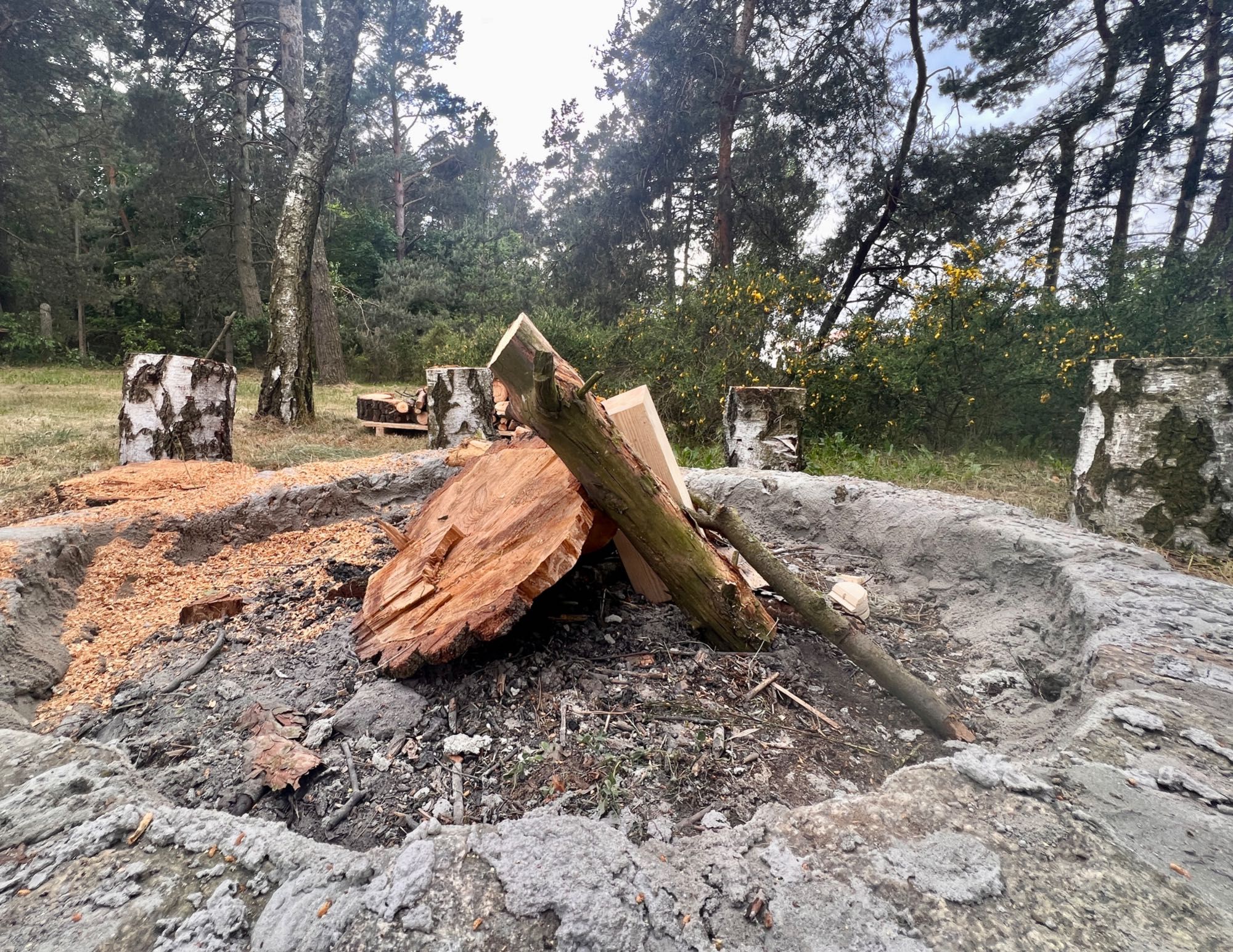 domek w lesie z banią prywatnym jacuzzi, sauną weekend PANIEŃSKI