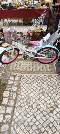 Bicicleta estimada vintage