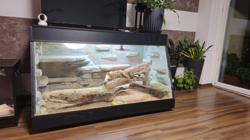 Terrarium  duże masywne