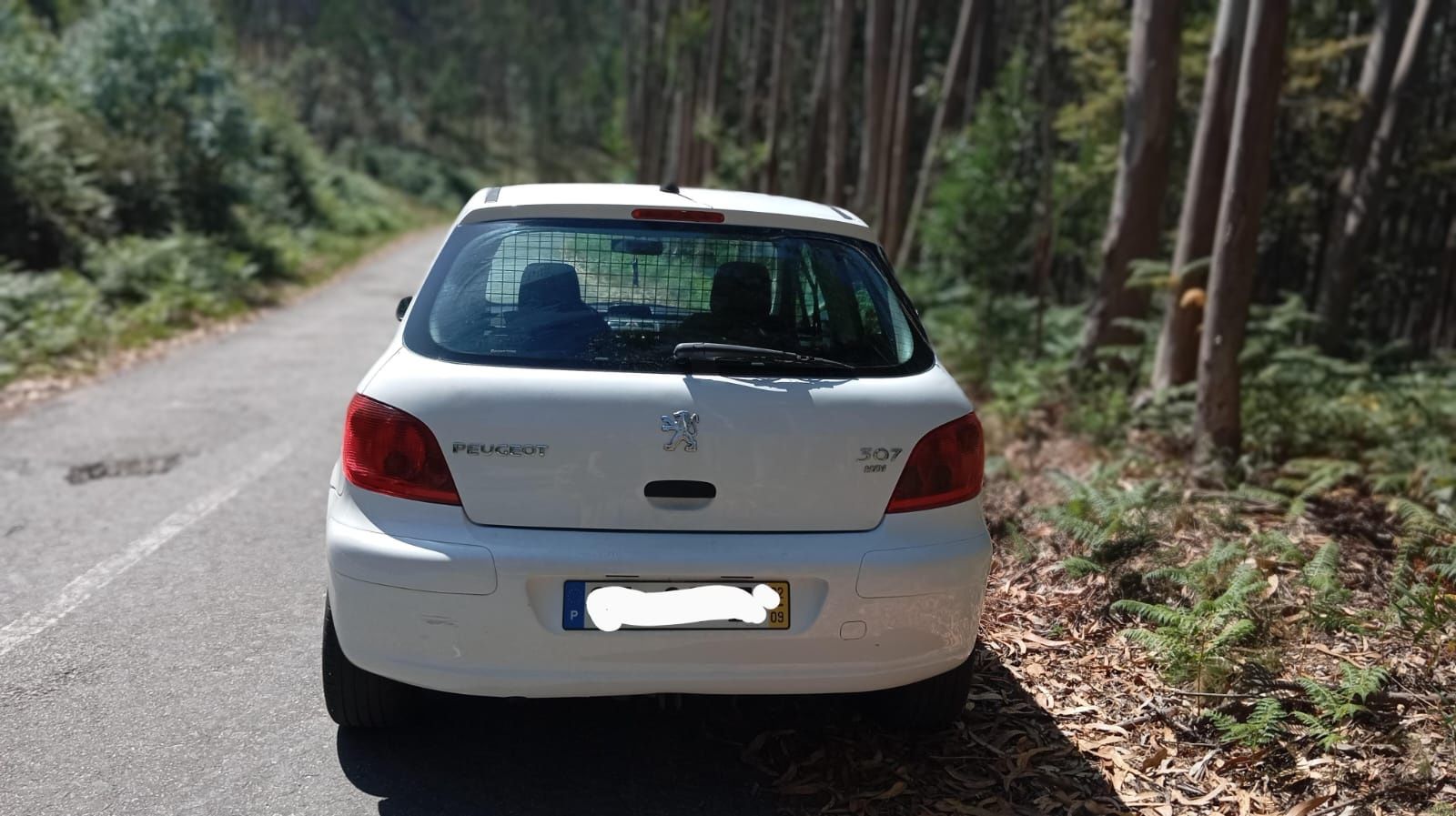 Peugeot 307, 1.4 HDi comercial