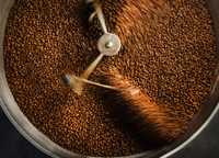 Свіжообсмажена кава в зернах — Barista Coffee Roasters