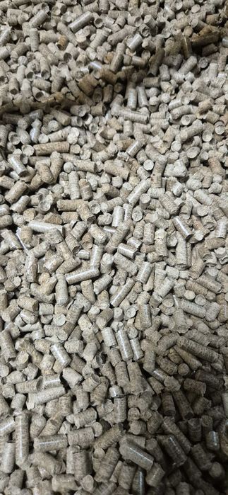 Pellet Sosnowy workowany lub luz