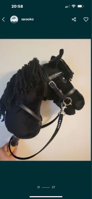 Hobby horse kary