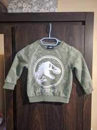 Bluza Park Jurassic