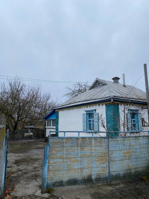 Будинок у селі з господарськими спорудами