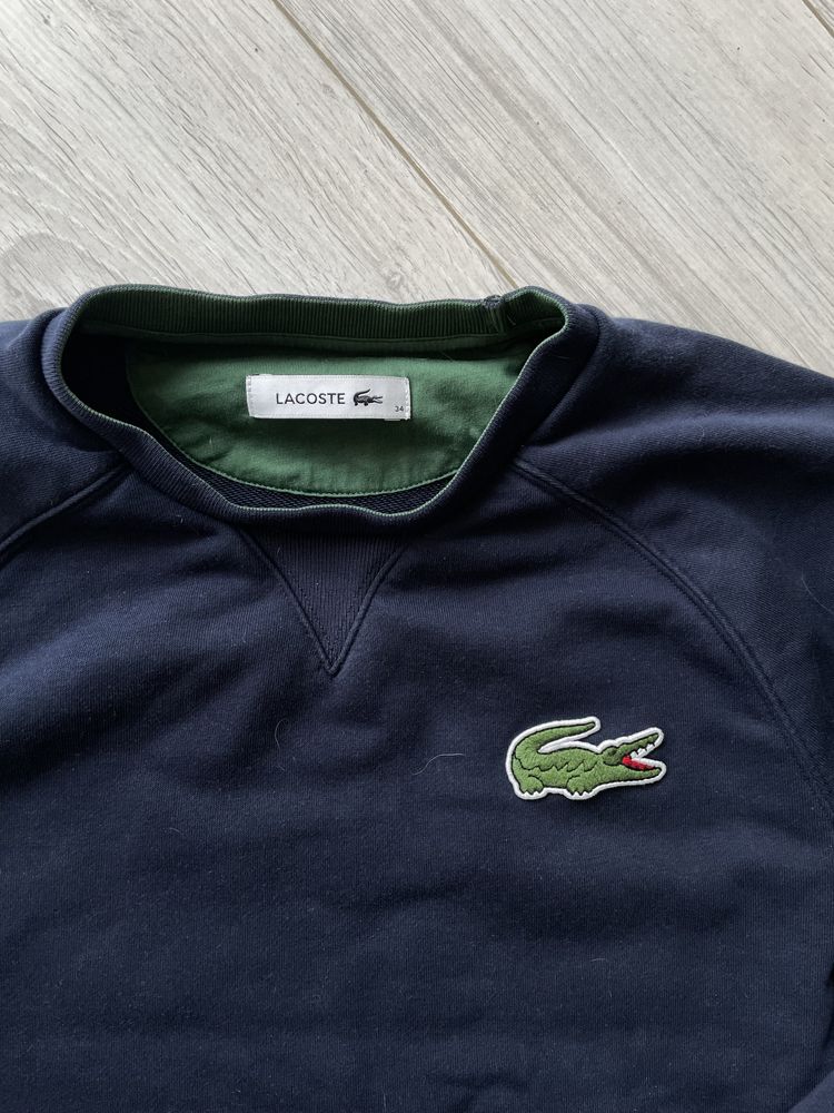 Bluza Lacoste XS