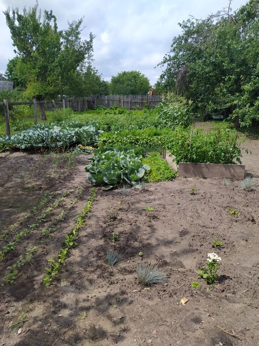 Участие город Шостка