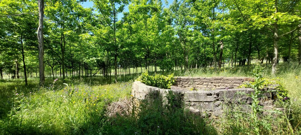 Terreno Rústico na Bairrada!