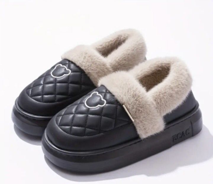 Лофери зимові, автоледі